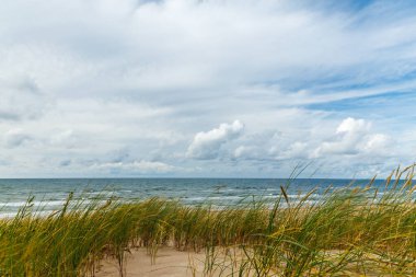 Baltic Sea shore with gentle waves, dune landscape, tall grass swaying in the wind and cloudy sunny sky, peaceful coastal nature scene, perfect for travel, tourism, relaxation and wellness projects