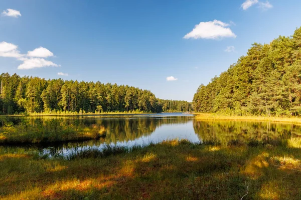 Scenic forest lake with calm water reflecting green pine trees and blue sky in warm autumn light, peaceful natural landscape, nature conservation and outdoor recreation