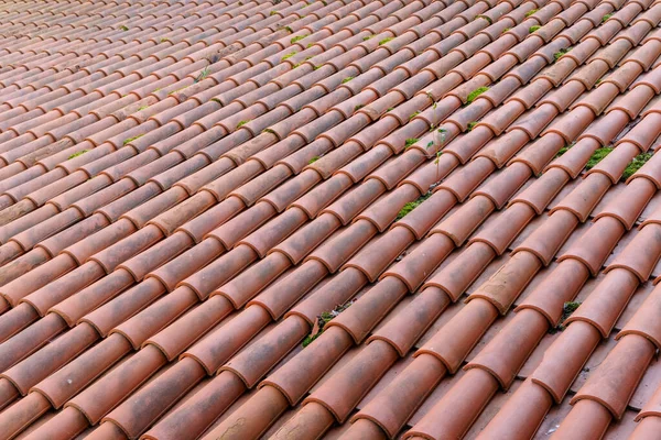 Close-up of traditional red clay roof tiles with moss growing in between, architectural detail and textured background for construction, housing and building design concepts