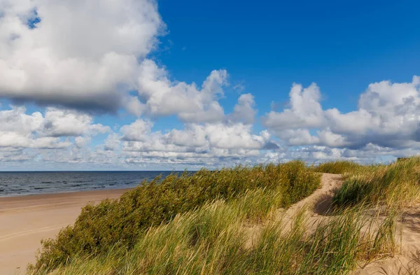 Baltic Sea dune landscape with tall grass swaying in the wind, sandy beach and blue sky with clouds, peaceful coastal nature scene, perfect for travel, relaxation, mindfulness and wellness projects