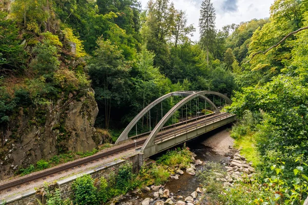 Narrow gauge railway bridge crossing a rocky river in a green forest valley, scenic train route through nature, travel and transportation concept, summer mountain landscape