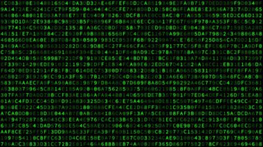 Green hexadecimal code background animation in retro terminal style, perfect for coding, tech, programming, hacking-related or digital security themes