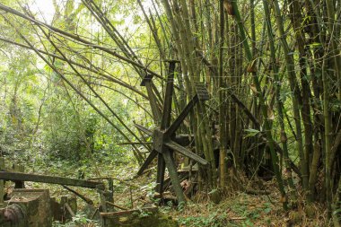 Makinelerin kalıntıları Surinam ormanının derinliklerindeki eski bir çiftlikte bırakılmış. Paslanan bileşenler, tarım tarihi ve zamanın geçişi hakkında bir hikaye anlatıyor. Şimdi onları çevreleyen yemyeşil alan tarafından kısmen geri kazanılıyor.
