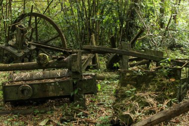 Tarihsel James Watt buhar makinesi, Warappakreek 'in yanındaki bir çiftlikte sessizce dinleniyor. Bir zamanlar tarımsal operasyonlara güç veren hayati bir makine parçası olan bu olağanüstü kalıntı şimdi ormanda terk edilmiş olarak duruyor.