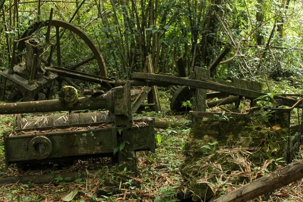 Tarihsel James Watt buhar makinesi, Warappakreek 'in yanındaki bir çiftlikte sessizce dinleniyor. Bir zamanlar tarımsal operasyonlara güç veren hayati bir makine parçası olan bu olağanüstü kalıntı şimdi ormanda terk edilmiş olarak duruyor.