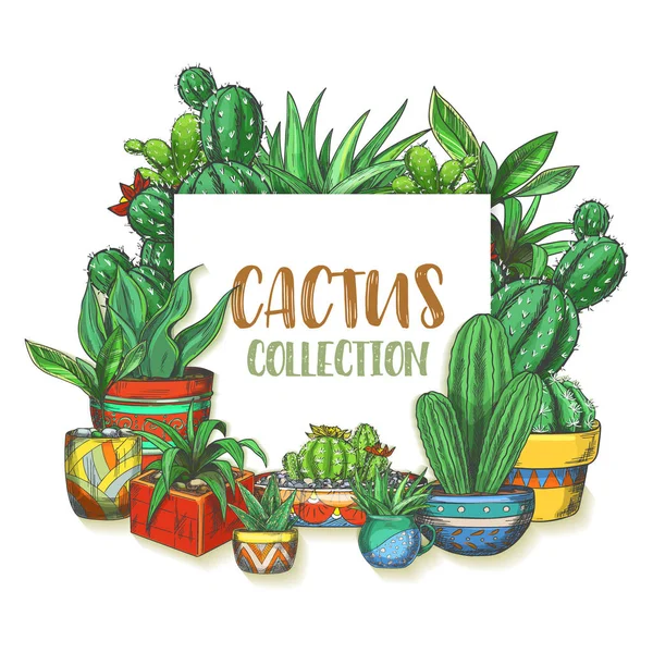 Cactus dibujado a mano en cajas, plantas — Archivo Imágenes Vectoriales