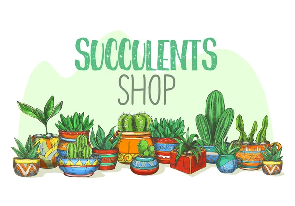 Plantas suculentas en la tienda o cactus en la tienda — Archivo Imágenes Vectoriales