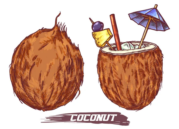 Iconos de nueces vectoriales, Bebida exótica de cóctel tropical — Archivo Imágenes Vectoriales