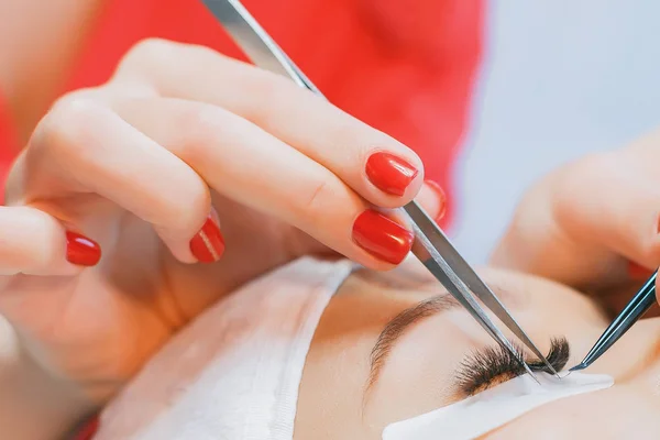 Cosmetologist making eyelash extensions, beauty procedure.