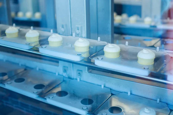 Preparation of vanilla ice-creams on factory
