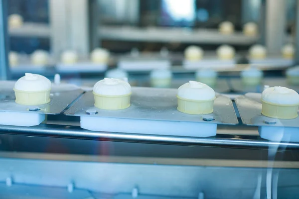Preparation of vanilla ice-creams on factory