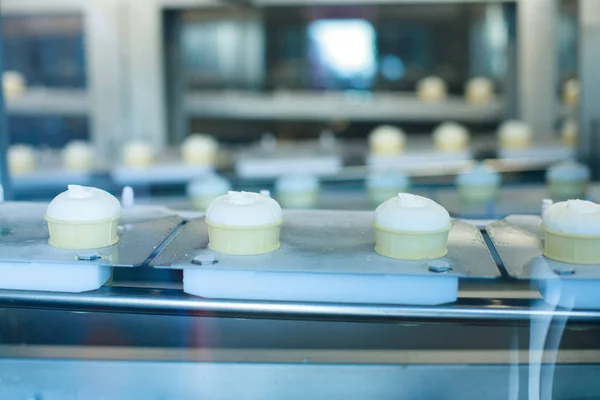 Preparation of vanilla ice-creams on factory