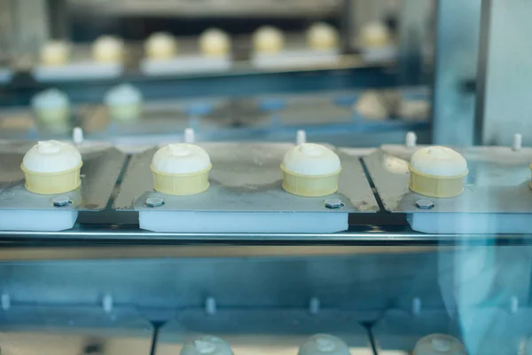 Preparation of vanilla ice-creams on factory