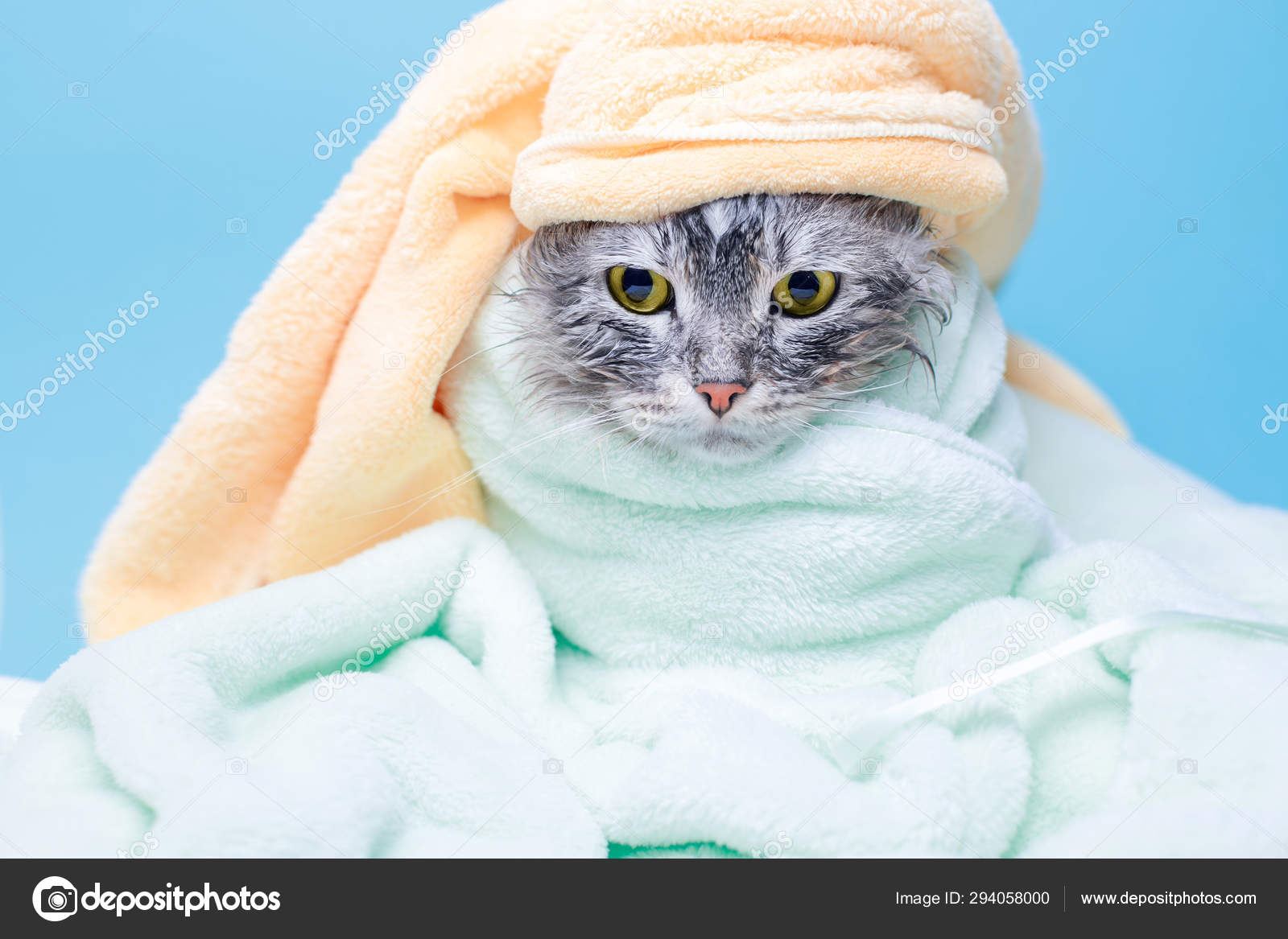 cat bath mat uk