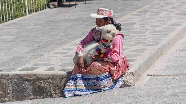 Ollantaytambo Peru Ağustos 2017 Onun Bebek Lama Ollantaytambo Peru Daki — Stok fotoğraf