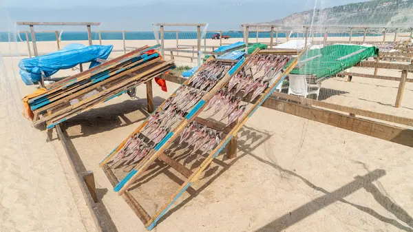 Nazare Portugalsko Duben 2018 Tradiční Sušení Ryb Pláži Nazare Portugalsku — Stock fotografie