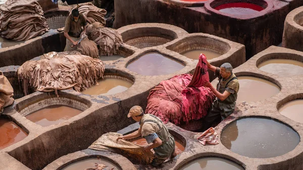 Fez, Morocco - April 2018: Men working as tanners in the dye pots at leather tanneries viewed from from the Terrace de Tanneurs in the ancient medina, Fes el Bali, in Fez, Morocco.