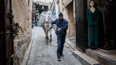 Fez, Fas - Nisan 2018: Fez medina, Fas a yük-in mal taşıyan bir at