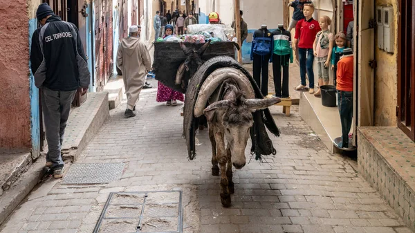 Fez Marruecos Abril 2018 Burro Cargando Una Carga Mercancía Medina —  Fotos de Stock