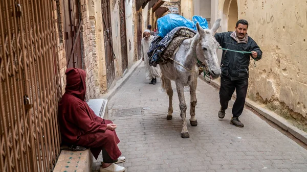 Fez Marruecos Abril 2018 Caballo Cargando Una Carga Mercancía Medina —  Fotos de Stock