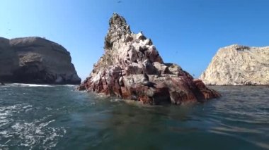 Ballestas Island, Peru - Eylül 2017: kuşlar ve Ballestas Adası, Peru dalgalı deniz üzerinde bir deniz aslanı