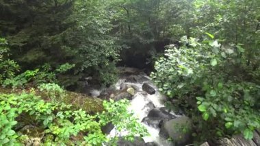 Gorgit Yaylası Savsat, Artvin, Türkiye'nin Karadeniz bölgesinde güzel dağları aşarak çalışan küçük bir nehir