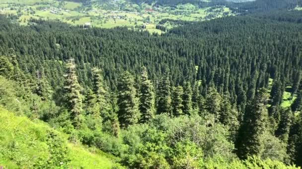 Bela Vista Panorâmica Summer Mountain Plateau Highland Região Blacksea Artvin — Vídeo de Stock