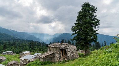 Artvin, Türkiye - Temmuz 2018: Gorgit Yaylası ile eski evleri ve yeşil vadi Karadeniz bölgesinde, Artvin, Türkiye