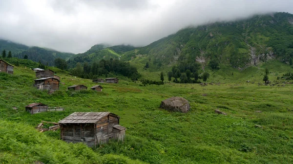 Artvin Turkiet Juli 2018 Gorgit Highland Med Gamla Hus Och — Stockfoto