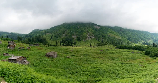 阿尔温特 土耳其 2018年7月 Gorgit 高地与老房子和绿色山谷在 Blacksea 阿尔温特 土耳其 — 图库照片