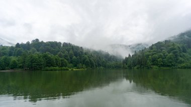 Artvin, Türkiye - Temmuz 2018: Borcka Karagol Doğa Parkı'ndan bir güzel göl manzara.