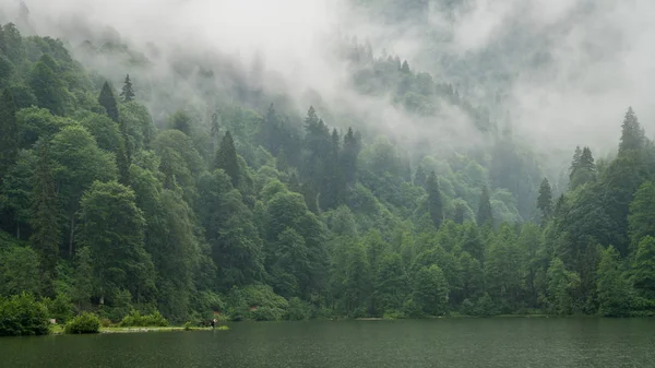 Artvin Truthahn Juli 2018 Eine Wunderschöne Seenlandschaft Aus Dem Naturpark — Stockfoto