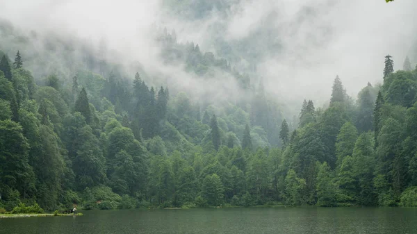 Artvin Truthahn Juli 2018 Eine Wunderschöne Seenlandschaft Aus Dem Naturpark — Stockfoto