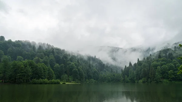 Artvin Truthahn Juli 2018 Eine Wunderschöne Seenlandschaft Aus Dem Naturpark — Stockfoto