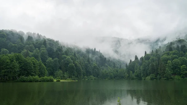 Artvin Truthahn Juli 2018 Eine Wunderschöne Seenlandschaft Aus Dem Naturpark — Stockfoto