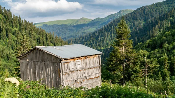 Yeşil Doğa Manzara Ağaçlar Ormanlar Kırsal Alanlarda Savsat Artvin Türkiye — Stok fotoğraf