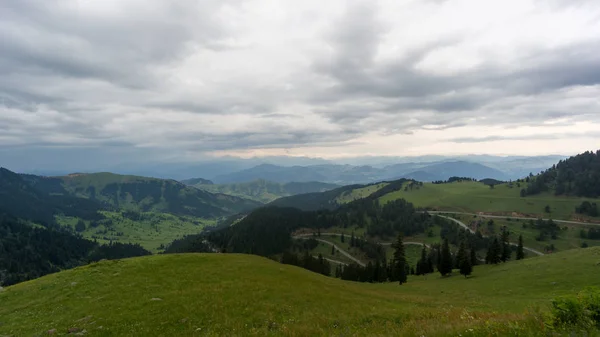 Grön Natur Landskap Träd Och Skogar Landsbygden Şavşat Artvin Turkiet — Stockfoto