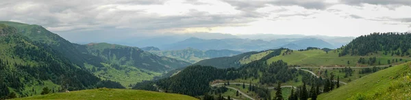 Grön Natur Landskap Träd Och Skogar Landsbygden Şavşat Artvin Turkiet — Stockfoto