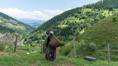 Artvin, Türkiye - Temmuz 2018: Kimliği belirsiz kadın Maden köyü, Savsat, Artvin, Türkiye'de yerel kıyafet