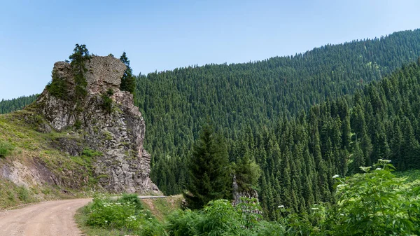 Artvin Turkiet Juli 2018 Ruinerna Gamla Slott Den Vackra Naturen — Stockfoto