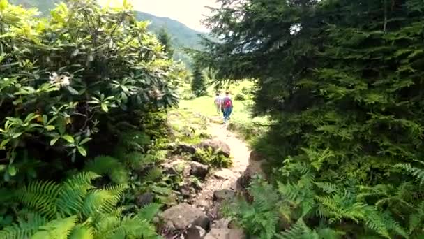 Artvin Turkije Juli 2018 Unidentified Trekking Groep Wandelen Natuur Gorgit — Stockvideo