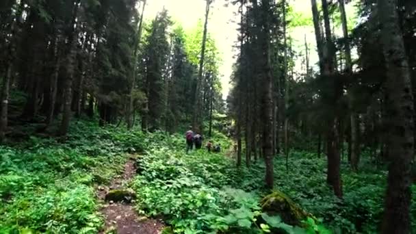 Artvin Turkije Juli 2018 Unidentified Trekking Groep Wandelen Natuur Gorgit — Stockvideo