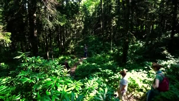 Artvin Turquía Julio 2018 Grupo Trekking Identificado Caminando Naturaleza Sierra — Vídeos de Stock