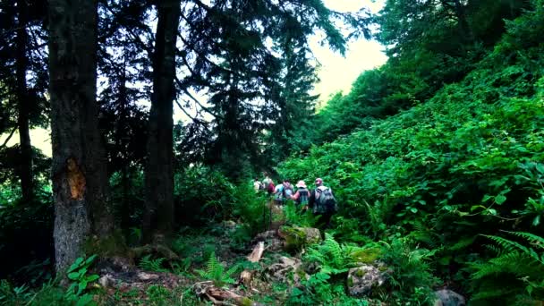 Artvin Turkiet Juli 2018 Oidentifierade Trekking Grupp Promenader Naturen Till — Stockvideo
