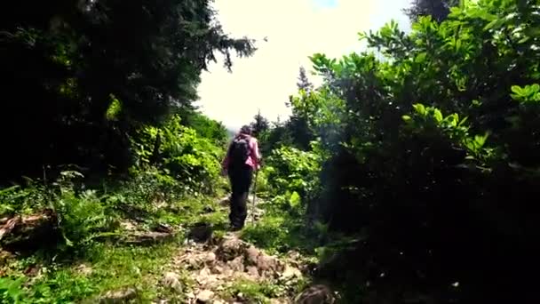 Artvin Turki Juli 2018 Kelompok Trekking Tak Dikenal Berjalan Alam — Stok Video