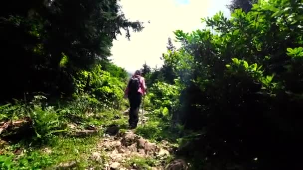 Artvin Turkije Juli 2018 Unidentified Trekking Groep Wandelen Natuur Gorgit — Stockvideo