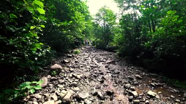 Artvin Turkiet Juli 2018 Oidentifierade Trekking Grupp Promenader Naturen Till — Stockvideo