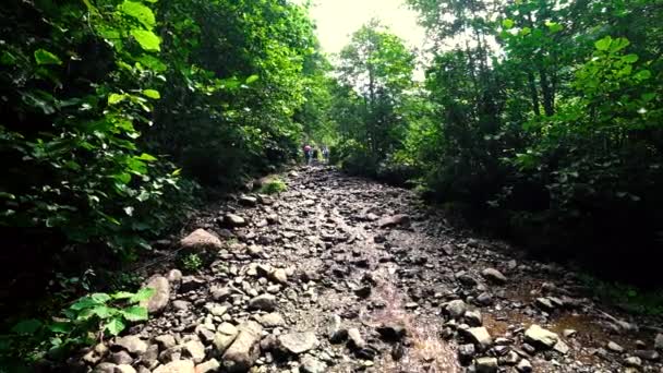 Artvin Turkije Juli 2018 Unidentified Trekking Groep Wandelen Natuur Gorgit — Stockvideo