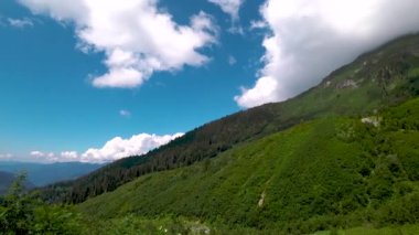 Güzel yeşil doğa manzara orman ve nehir Karadeniz bölgesinde, Artvin, Türkiye
