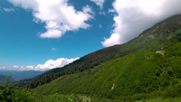 Beau Paysage Naturel Vert Forêt Rivières Dans Région Blacksea Artvin — Video